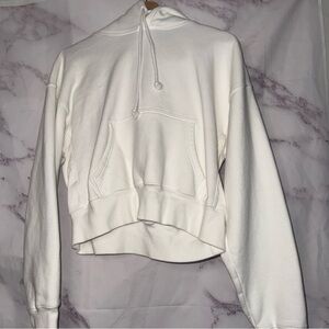 Aritzia Cozy Fleece Boyfriend Fit Hoodie